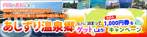 �l���\�E�����G���A�̌��^�ό�